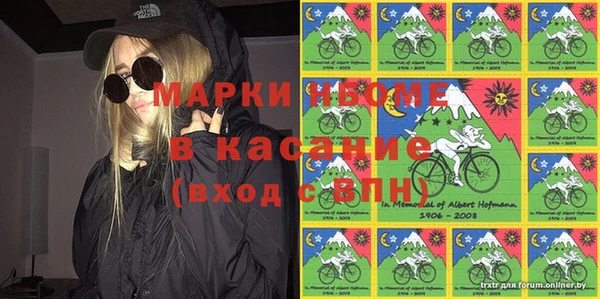 шишки Абинск