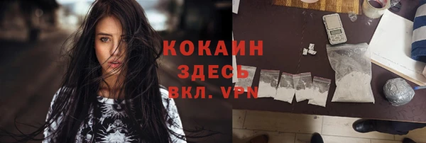 шишки Абинск