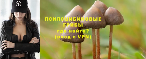 шишки Абинск