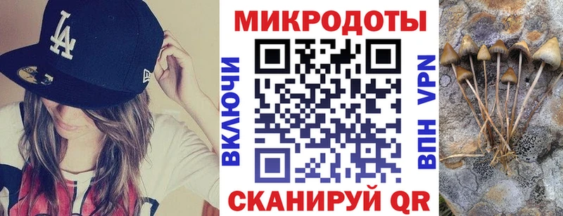 Галлюциногенные грибы ЛСД  где купить   Шахунья 